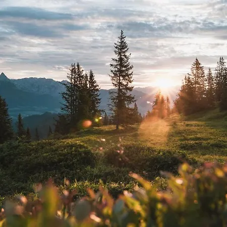 Prázdninový dům Alte Haus