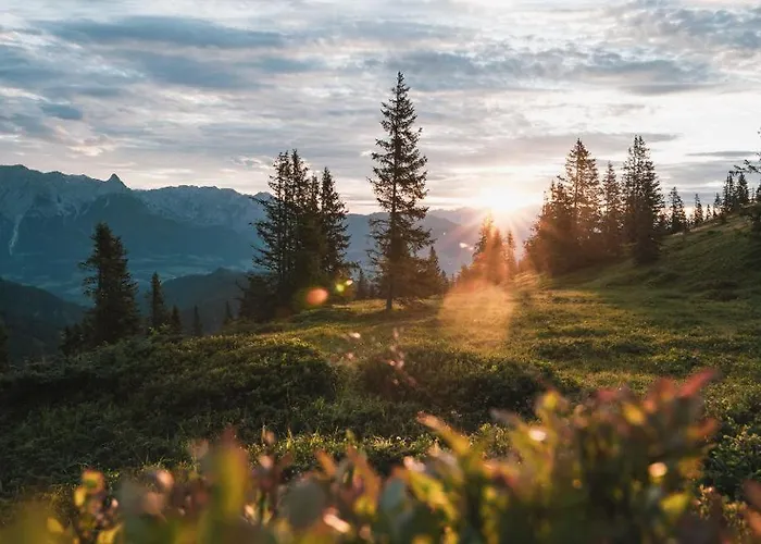 Ferienhaus Alte Haus